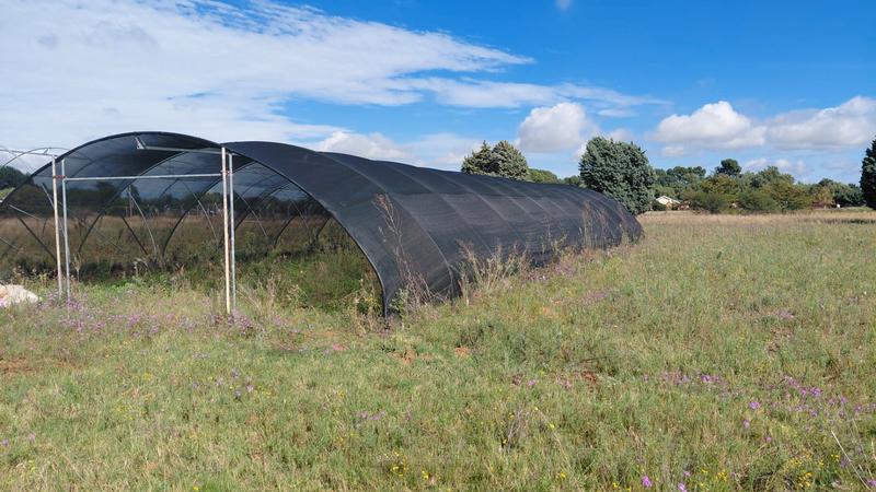 6 Bedroom Property for Sale in Ferreira Free State